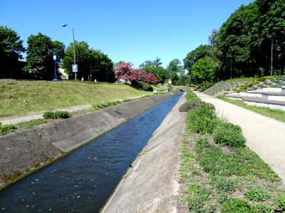 Bdg plantyKBw 1 5-2015