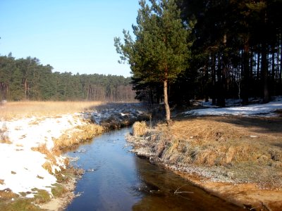 Bdg Struga Młyńska 03-2013l