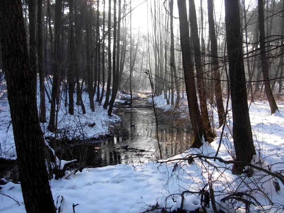 Bdg Struga Młyńska 03-2013d