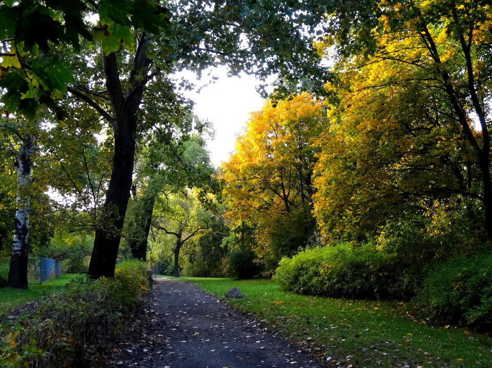 Bdg parkWzgWolnosci 15 10-2013