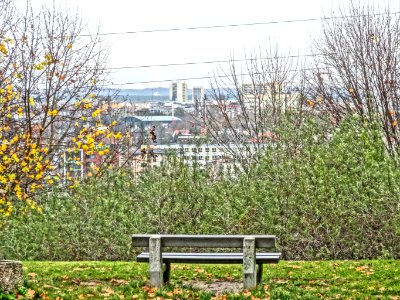 Bdg parkWzgWoln 8 11-2013