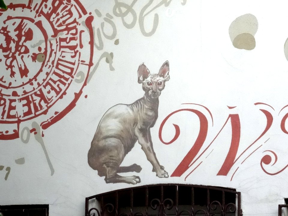 Bdg Pomorska 8 7-2015
