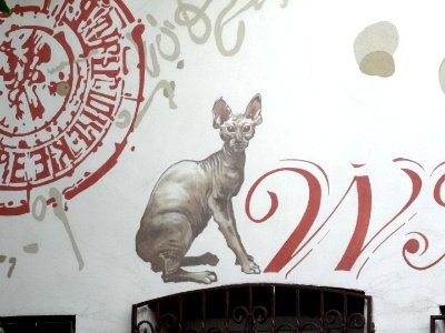 Bdg Pomorska 8 7-2015