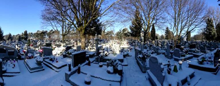 Bdg swStanislaw cemetery6 2-2017