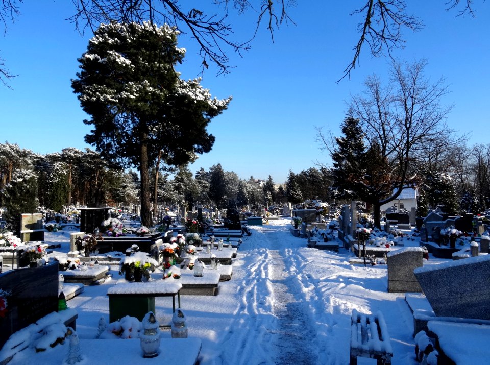 Bdg swStanislaw cemetery1 2-2017