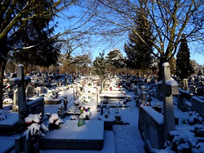 Bdg swStanislaw cemetery5 2-2017