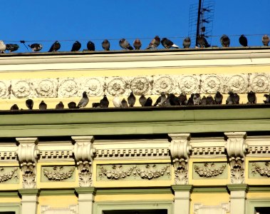 Bdg StaryRynek1 1 01-2015