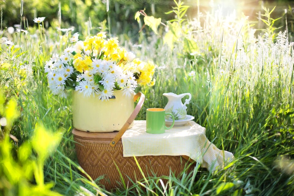 Nature green bloom