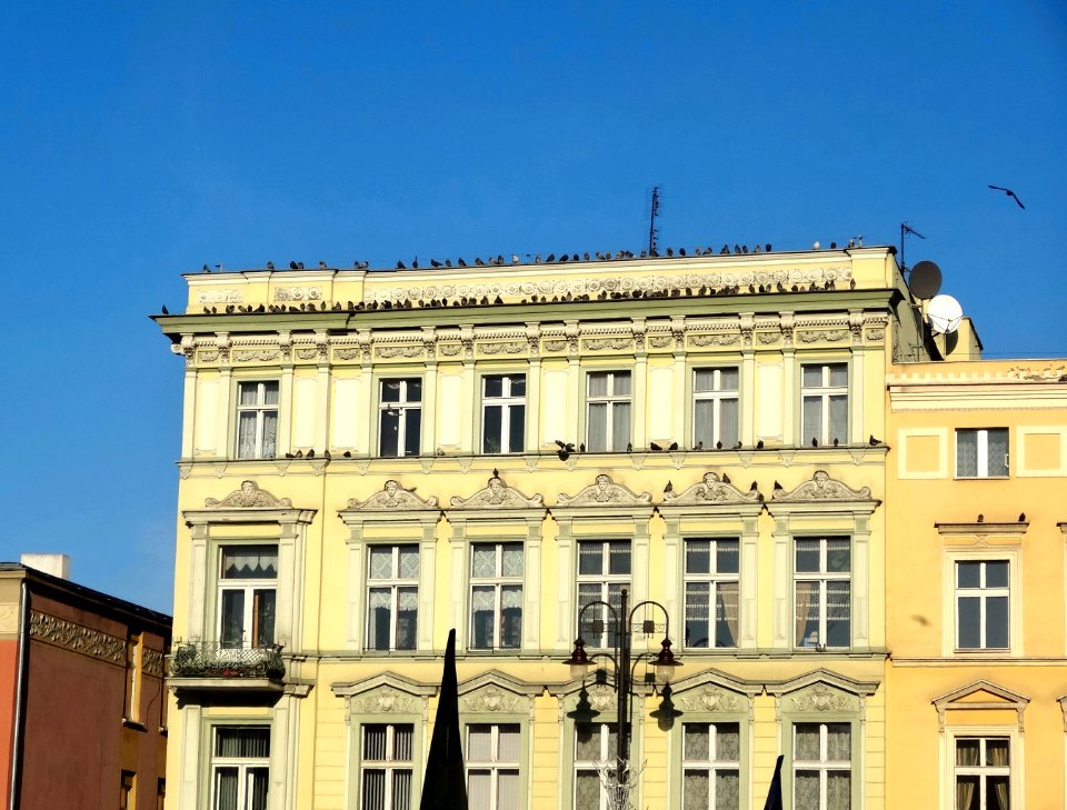 Bdg StaryRynek1 2 01-2015