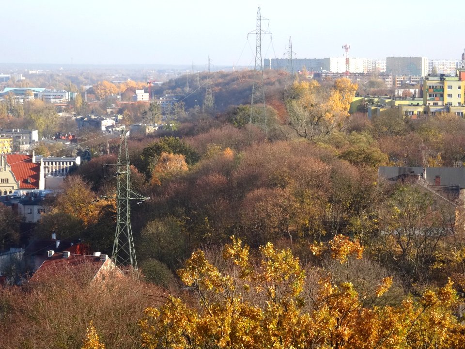 Bdg viewfromwatertower ZB11-18 6