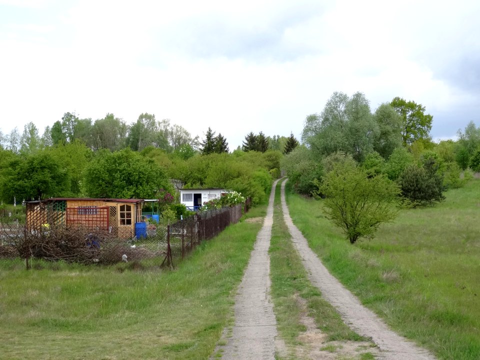 Bdg Suczyn 4 5-2015