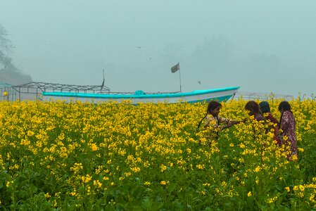 Punjab sunny water photo