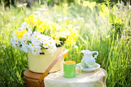 Nature green bloom