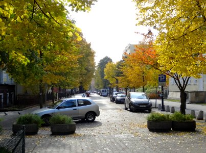 Bdg ulSzwalbego 10-2013
