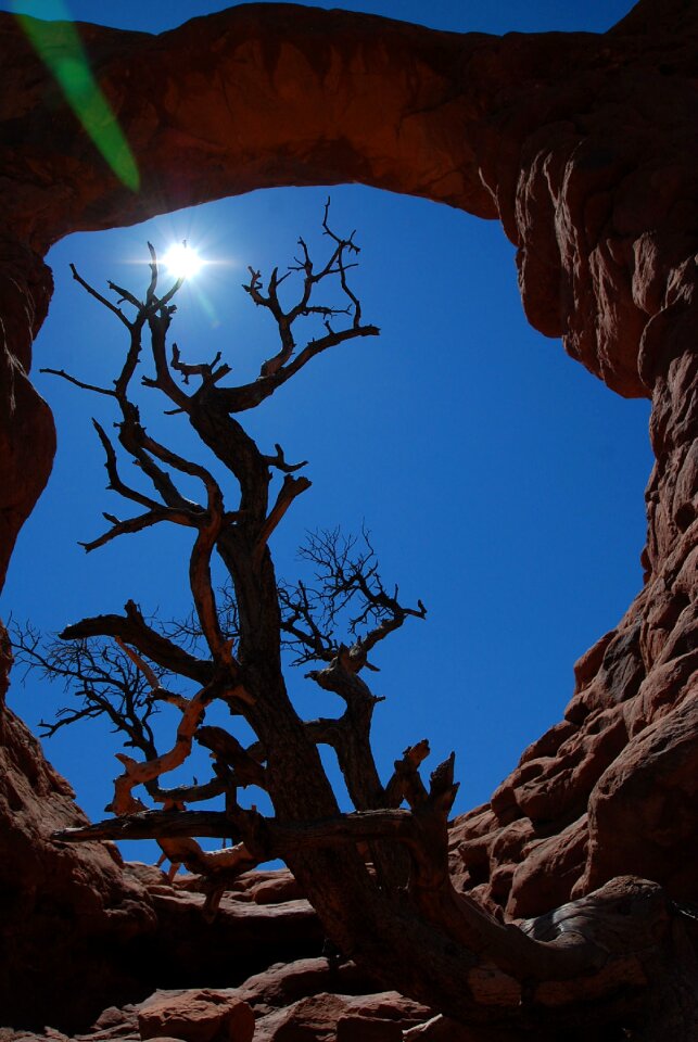 Utah desert landscape