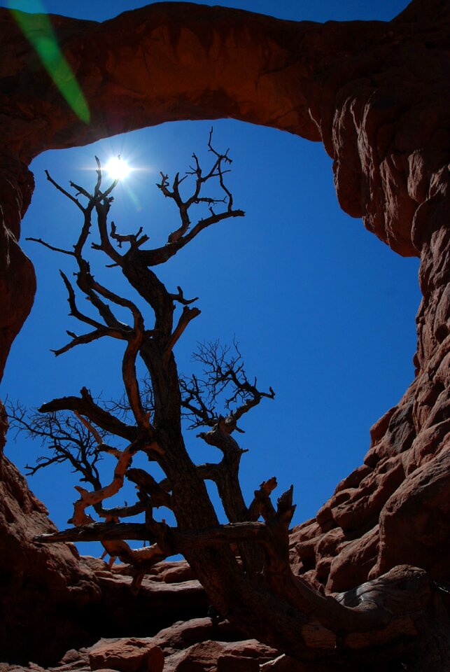 Utah desert landscape photo