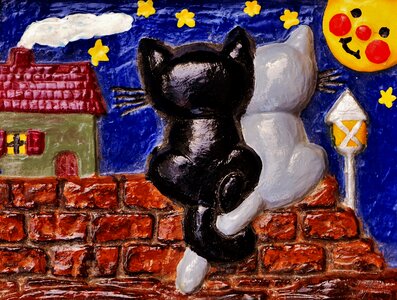 Cat moon sit