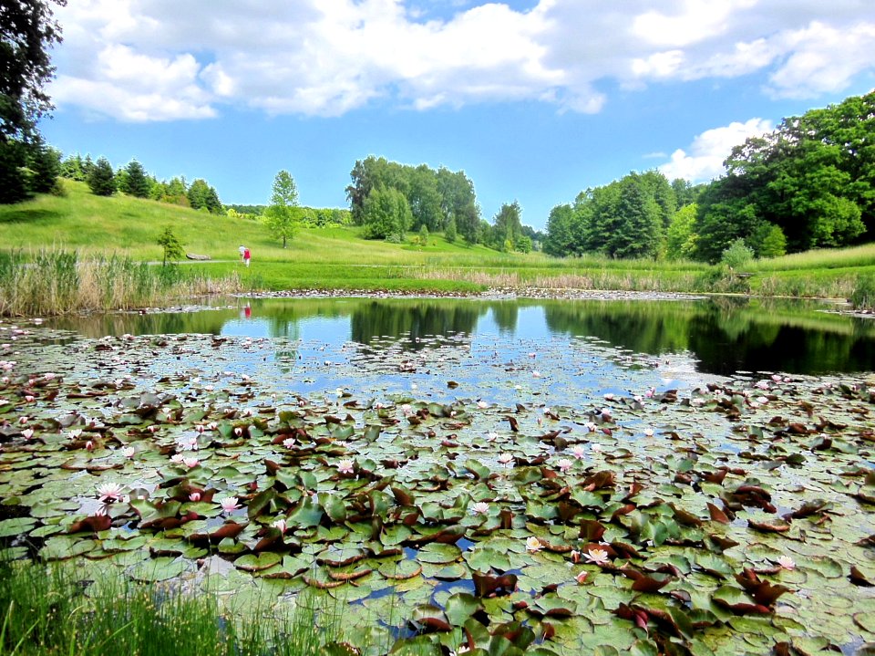 Bdg Myślecinek OBot hdr 06-2013