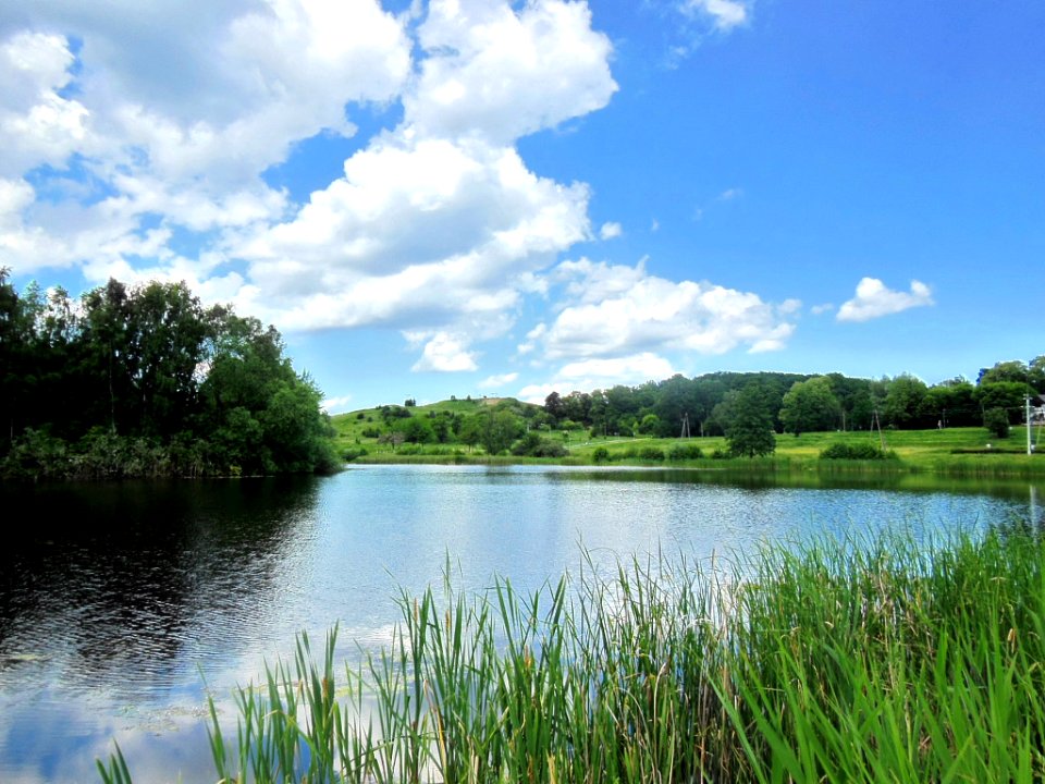 Bdg Myślecinek staw c 06-2013