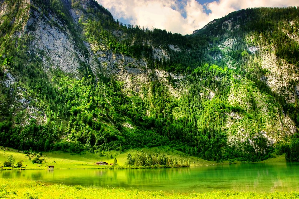 Alpine mountains nature
