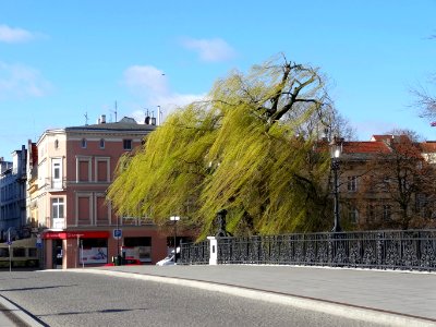 Bdg mostStaromiejski 6 4-2015