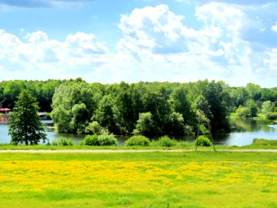 Bdg Myślecinek ptasiawyspa 06-2013