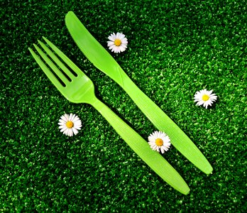 One way knife fork