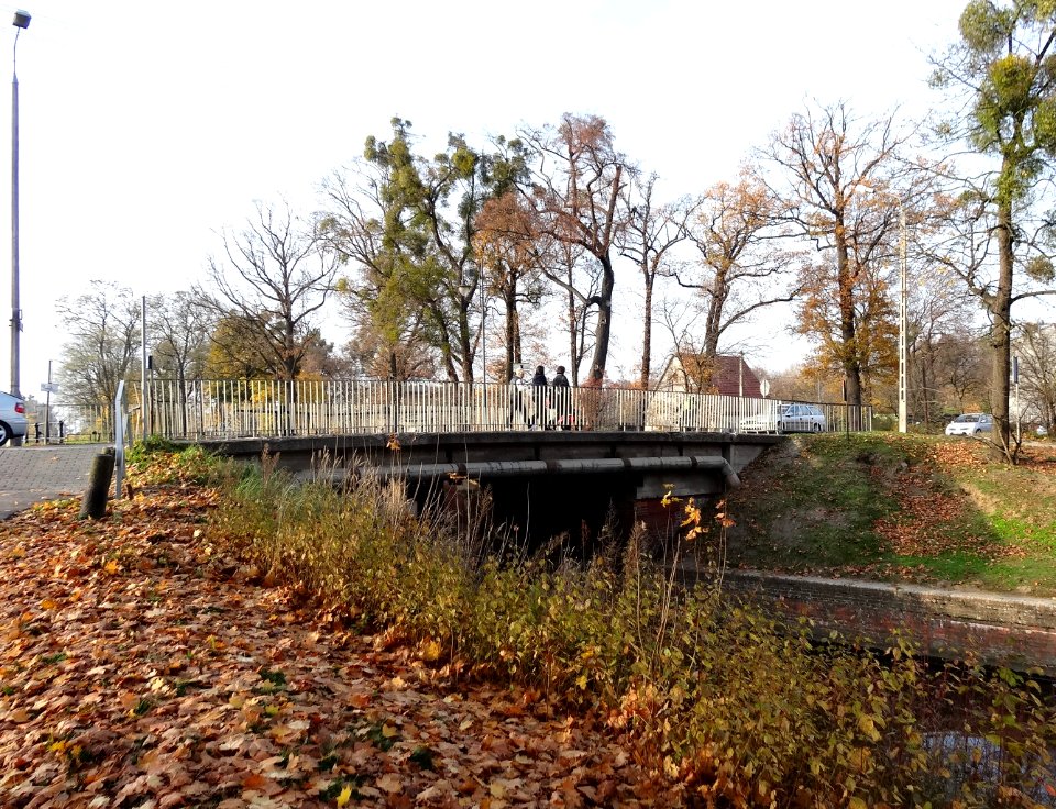 Bdg mostBronikowskiego 10-2013