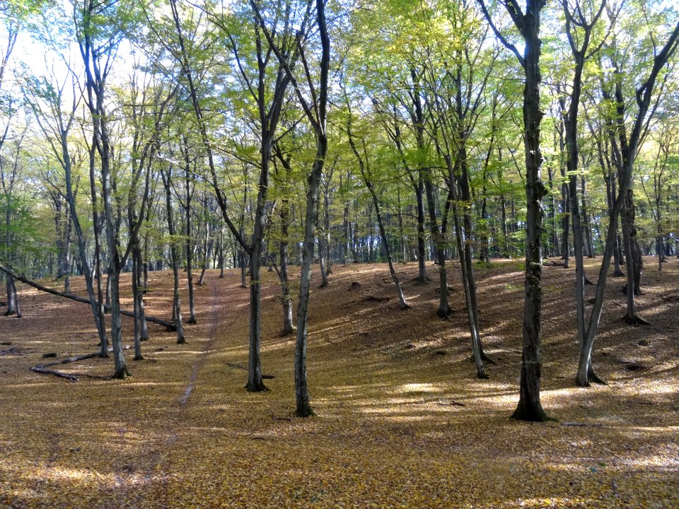 Bdg LPKiW dolinkimyslecinskie 10-2018 4