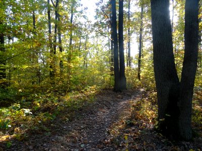 Bdg LPKiW dolinkimyslecinskie 10-2018 10