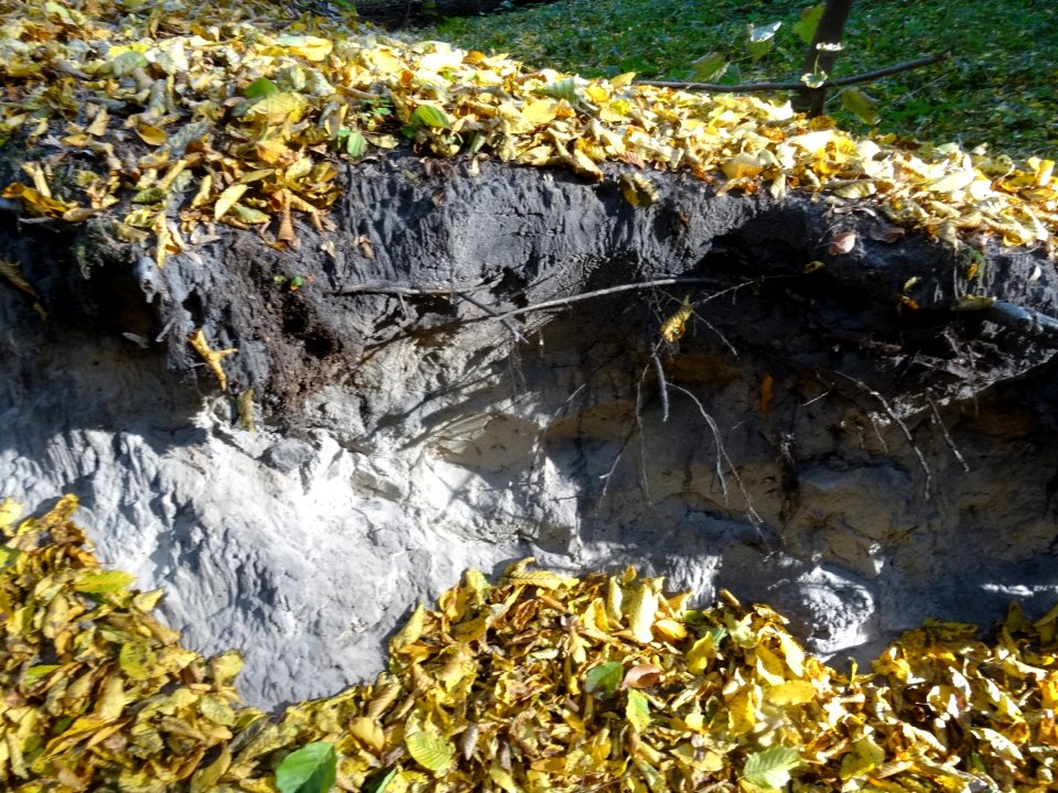 Bdg LPKiW dolinkimyslecinskie 10-2018 1