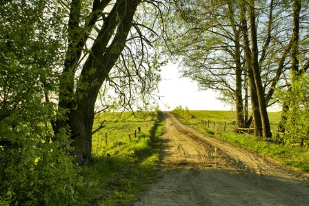 Village idyllic sandy road