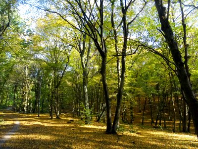 Bdg LPKiW dolinkimyslecinskie 10-2018 2