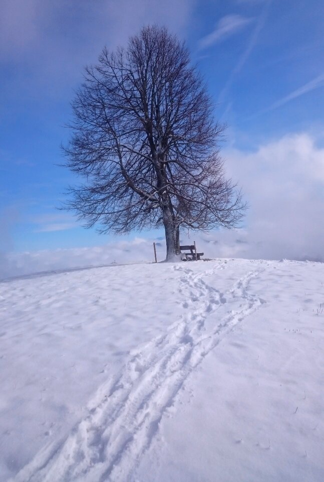 Wintry cold frozen