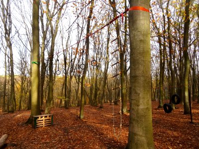 Bdg LPKiW ForestWorkout11-18 3