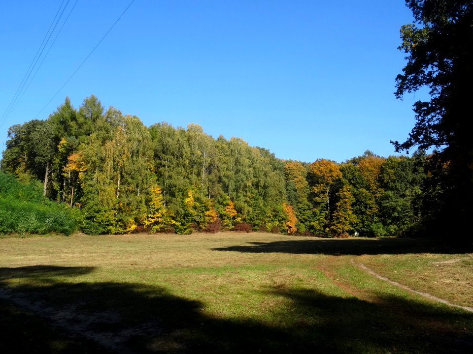 Bdg LPKiW Zacisze 10-2018 5
