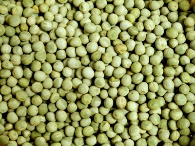 Nutrition food healthy