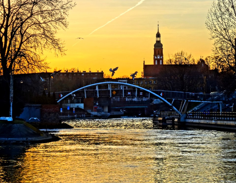 Bdg Love footbridge 2 03-2014