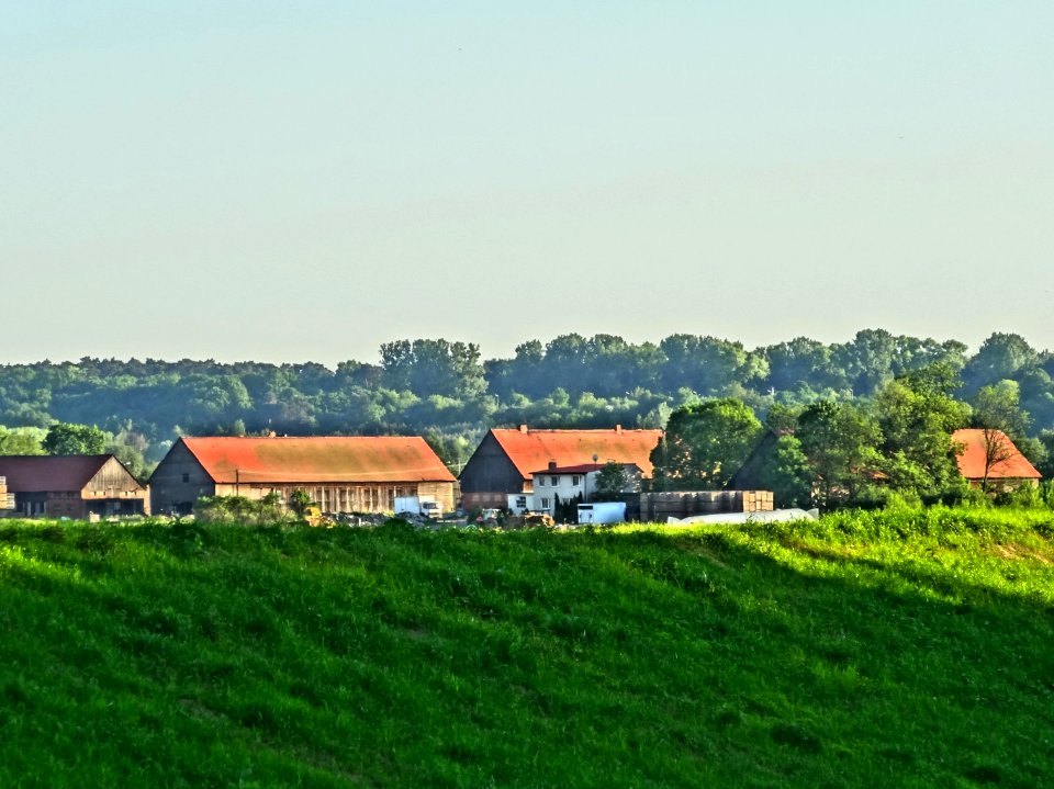 Bdg Legnowo zwalu 9 05-2014