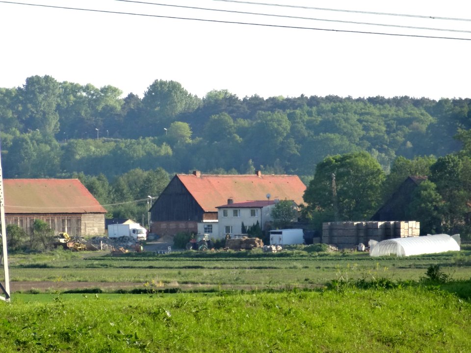 Bdg Legnowo zwalu 6 05-2014
