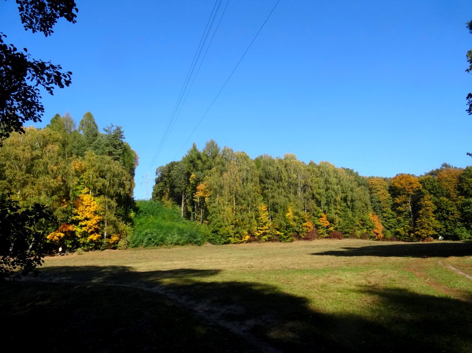 Bdg LPKiW Zacisze 10-2018 4
