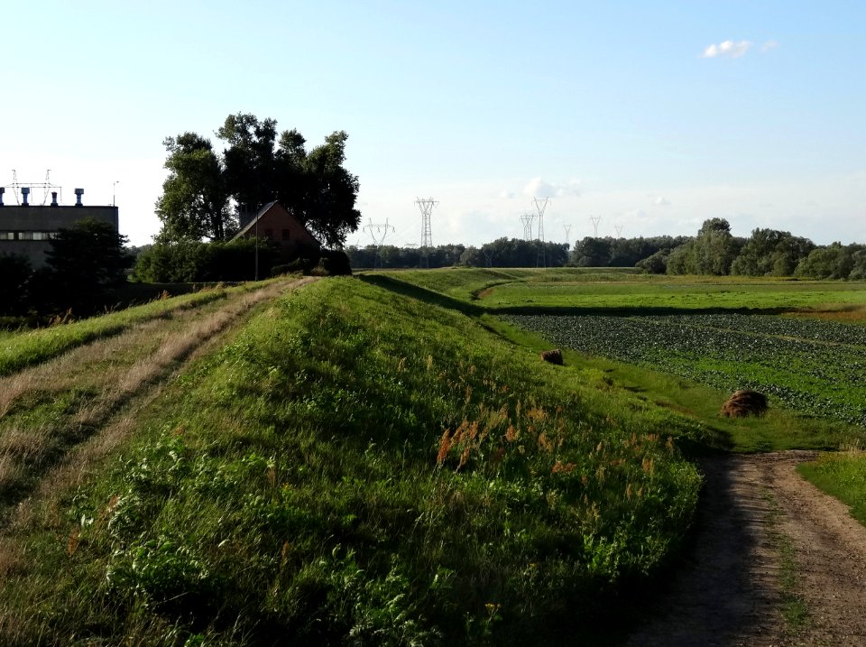Bdg Legnowo pola wal 21 08-2014