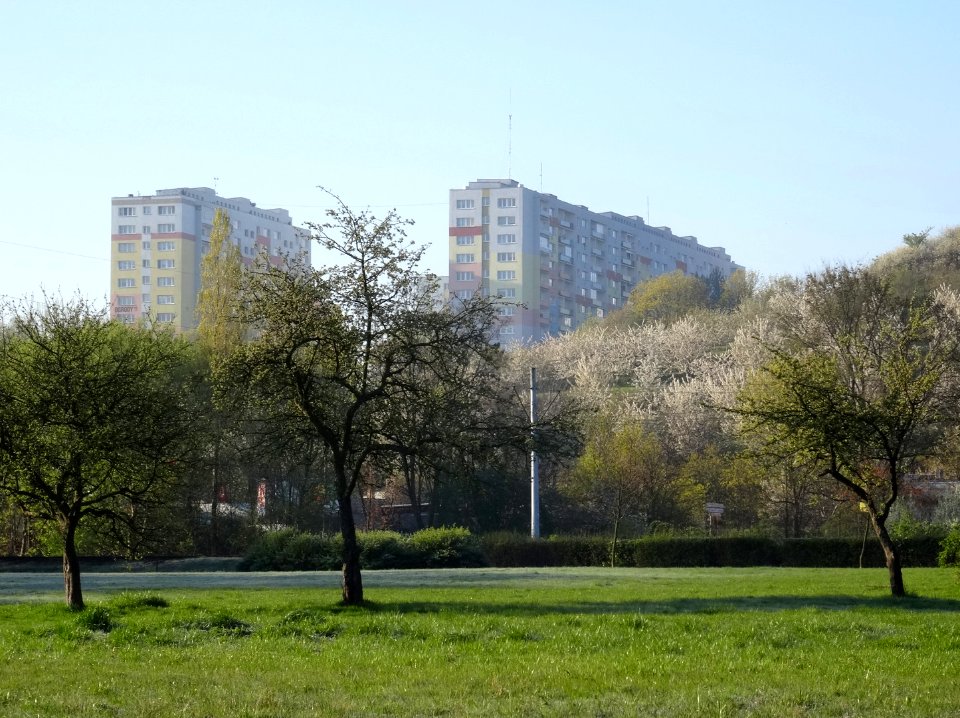 Bdg Central park3 5-2016