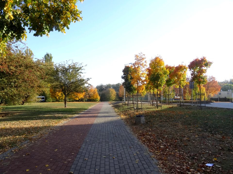 Bdg Centralny park 10-18 2