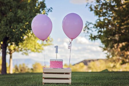 Cake smash balloon balloons photo