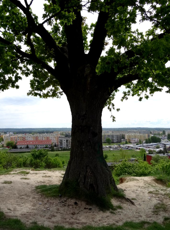Bdg DabJP view 7 5-2015