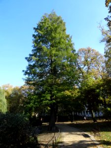 Bdg KazimierzWielki park 10-18 3