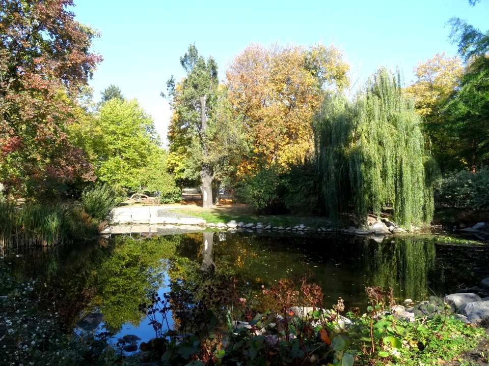 Bdg KazimierzWielki park 10-18 1