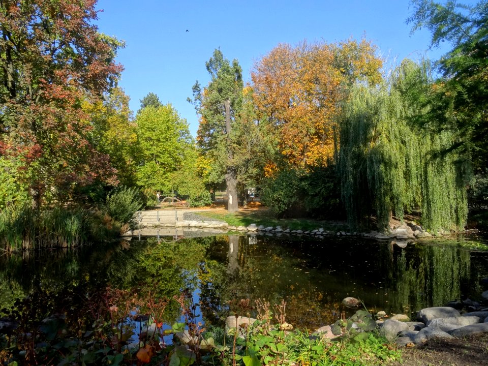 Bdg KazimierzWielki park 10-18 5