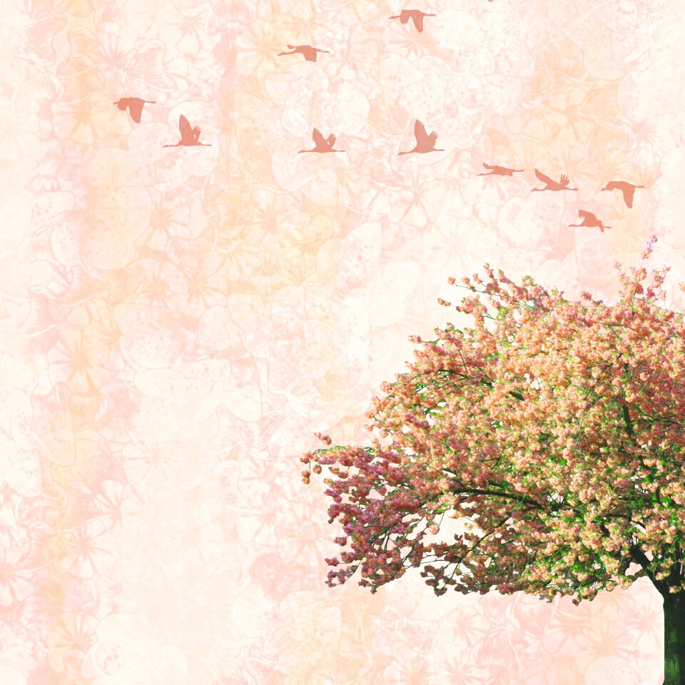 Scrapbooking paper texture
